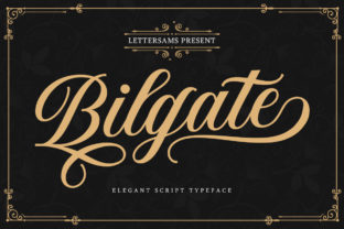 Bilgate: A Script Handwritten Font for Elegant Brand Identity