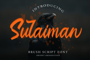 Sulaiman: A Script Handwritten Font That Elevates Campaign Messaging